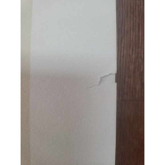 Rob Furber Gardiner At Kensington 1730 H. Fletcher "February" Month Of Flowersm. - Picture 4 of 7